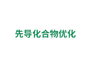 先導化合物優(yōu)化